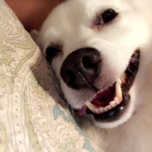 Meet your Posher, Melani